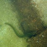 Wochenendausfahrt 2025 nach Schwerin