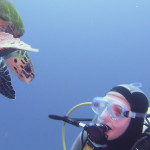 und auf Kollisionskurs!