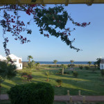 Das war es schon wieder!