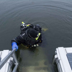 Unser Steg wird benutzt