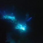 Viele Lampen machen die Nacht zum Tag