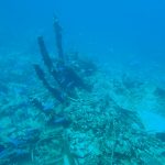 Wrack eines Safari Bootes Abu Dabbab